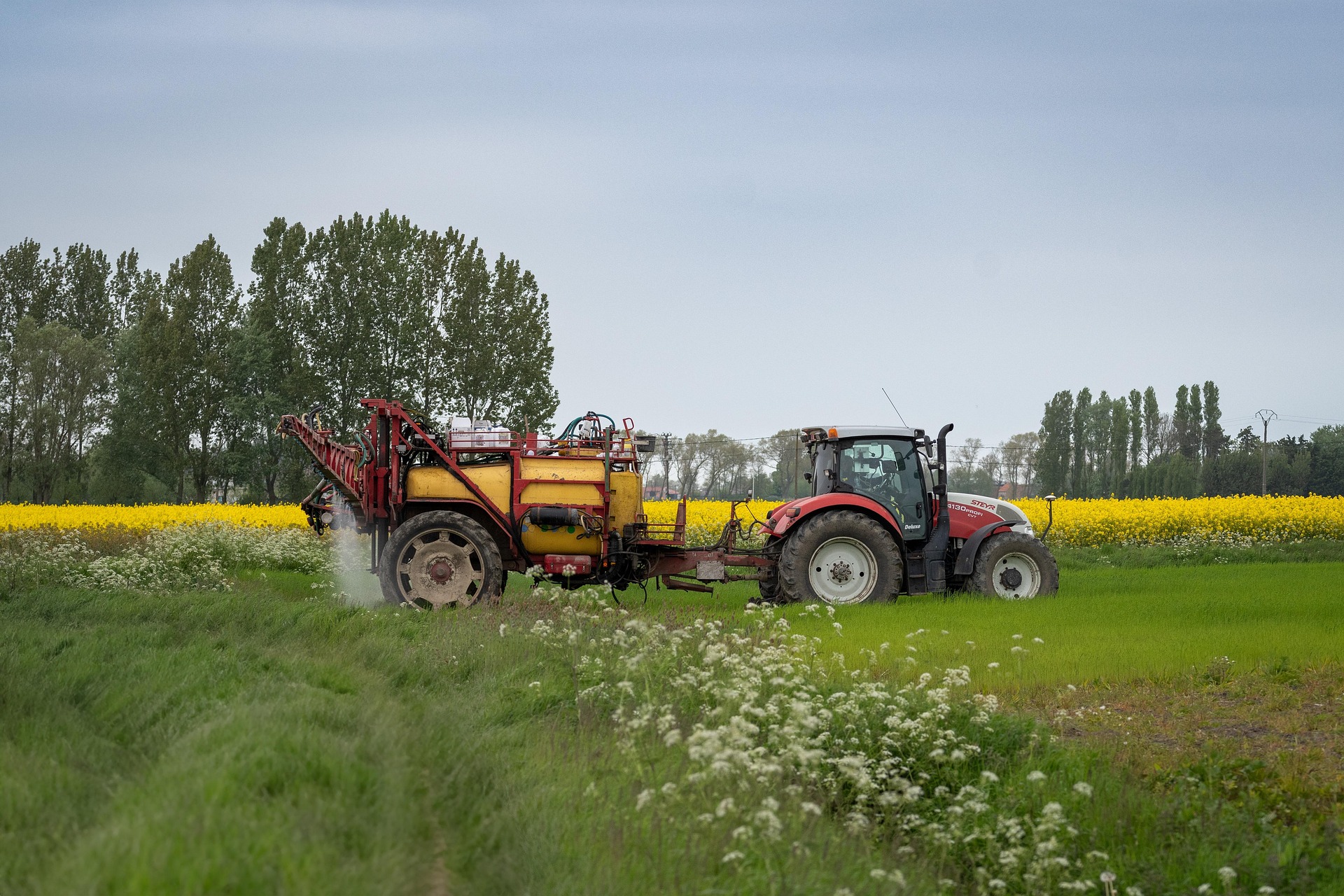 Golden Prairie Colony (Golden Prairie Farming Co. Ltd.) - Farming & Agricultural Services in Golden Prairie, Saskatchewan